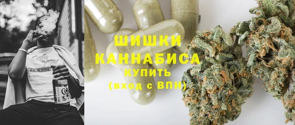 спайс Тавда