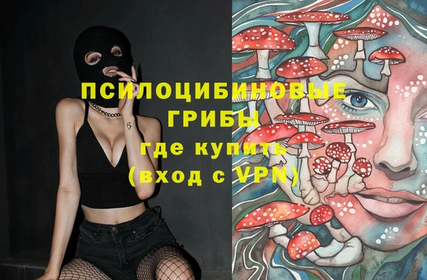 мяу мяу мука Верхний Тагил