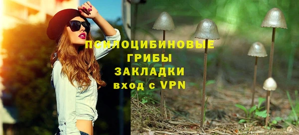 мяу мяу мука Верхний Тагил