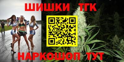 гашик Дубна