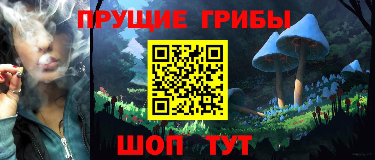 Псилоцибиновые грибы GOLDEN TEACHER  Псилоцибиновые грибы ЛСД  Медногорск  Вход с VPN 