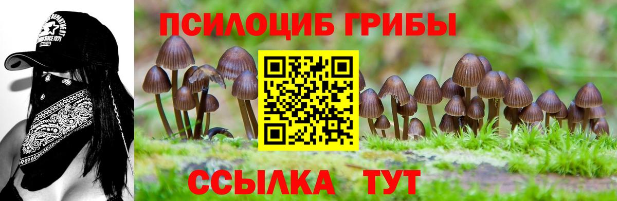 Галлюциногенные грибы прущие грибы Медногорск